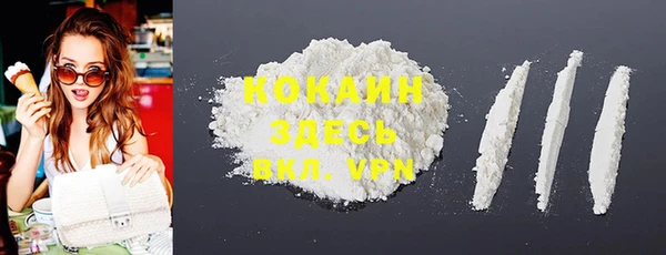 стафф Корсаков