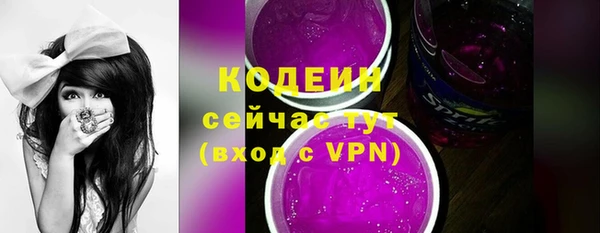 гидра Коряжма