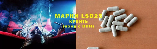 гидра Коряжма