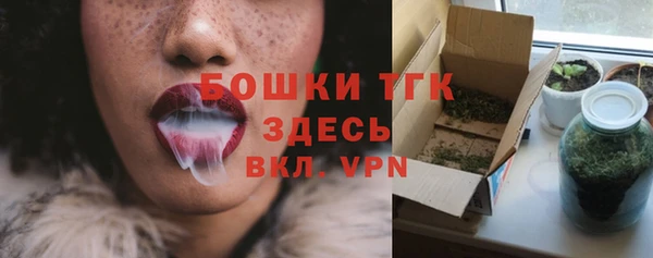 стафф Корсаков