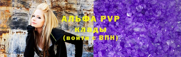 стафф Корсаков
