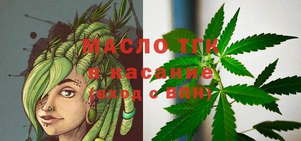 стафф Корсаков