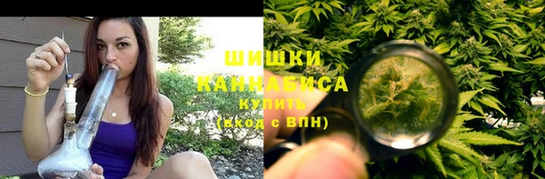 стафф Корсаков